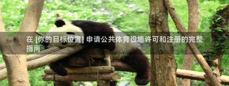 意昂3官网：在 [你的目标位置] 申请公共体育设施许可和注册