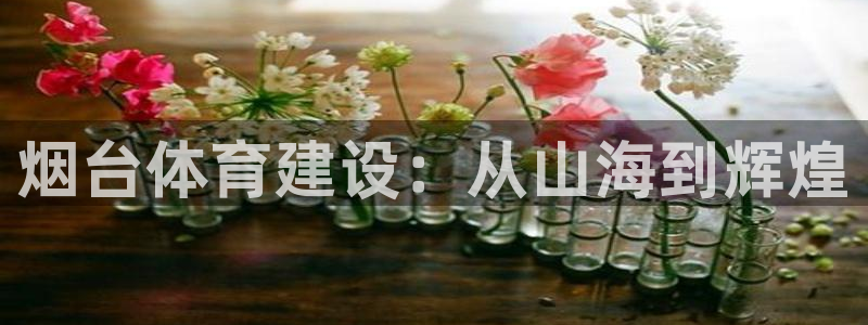 意昂体育3平台注册要钱吗安全吗：烟台体育建设：从山海