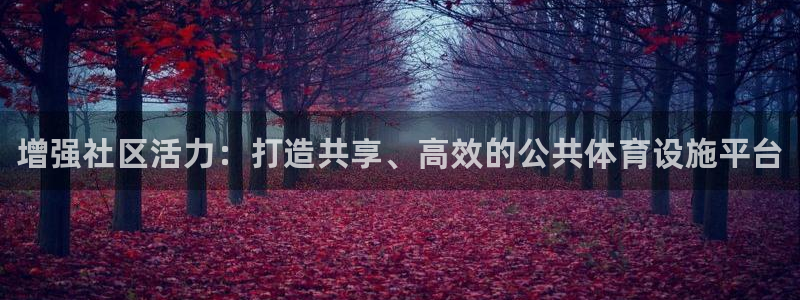 意昂3神州：增强社区活力：打造共享、高效的公共体育设