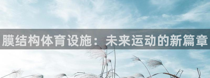 意昂3娱乐首页网站大全：膜结构体育设施：未来运动的新篇章