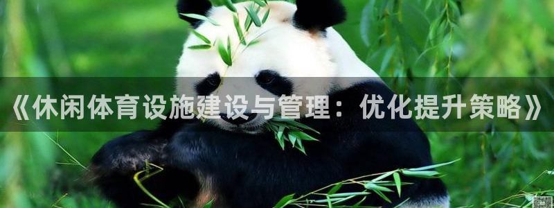 意昂3代理：《休闲体育设施建设与管理：优化提升策略》