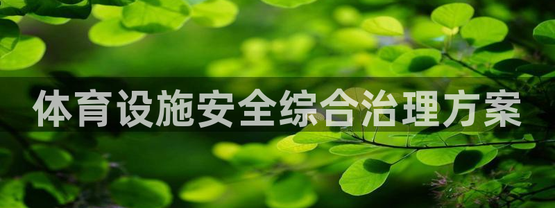 意昂体育3联系电话：体育设施安全综合治理方案