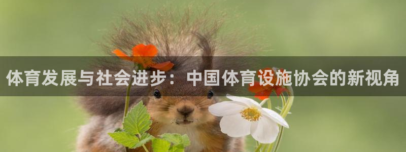 意昂体育3招商电话是多少号码：体育发展与社会进步：中