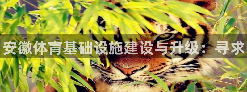 意昂体育3招商电话是多少：安徽体育基础设施建设与升级：寻求