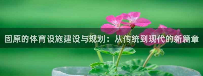 意昂体育3招商电话地址是多少：固原的体育设施建设与规划：从传