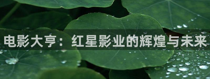 战地影视在线观看：电影大亨：红星影业的辉煌与未来