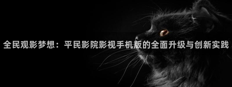 中东反恐电影战地免费播放：全民观影梦想：平民影院影视手机版的全面升级与创新实践