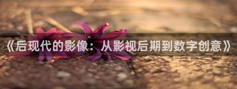 初体验3战地影院免费观看：《后现代的影像：从影视后期到数字创意》