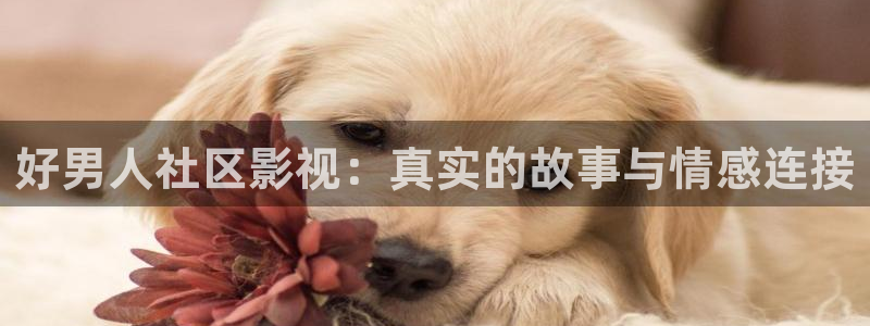 战地影院1080p高清电影在线观看：好男人社区影视：真实的故事与情感连接