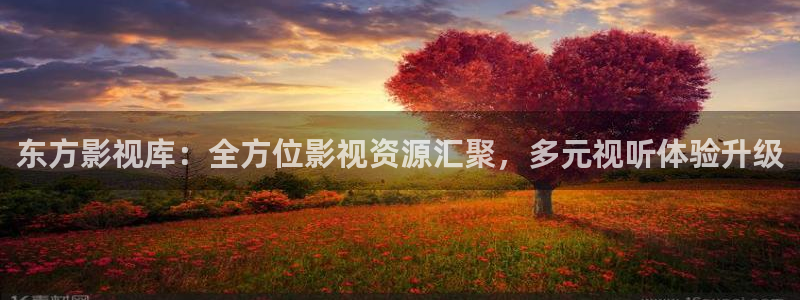 战地影院168：东方影视库：全方位影视资源汇聚，多元视听体验升级