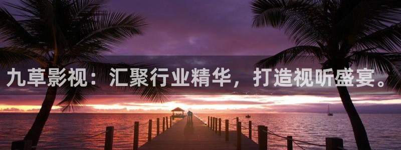 战地电影：九草影视：汇聚行业精华，打造视听盛宴。