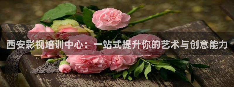 战地影院姐姐的朋友：西安影视培训中心：一站式提升你的艺术与创意能力