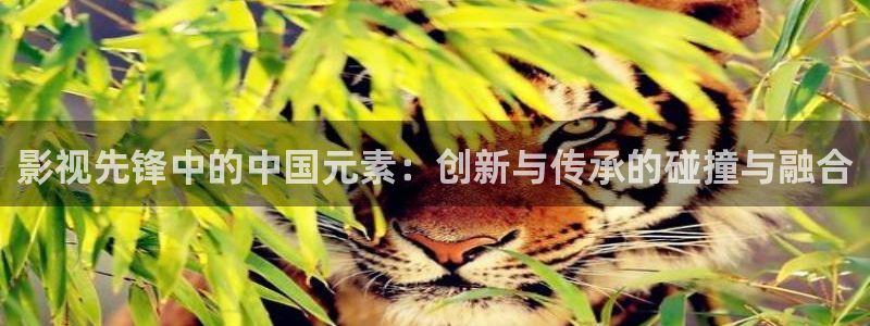 战地影院在线观看：影视先锋中的中国元素：创新与传承的碰撞与融合