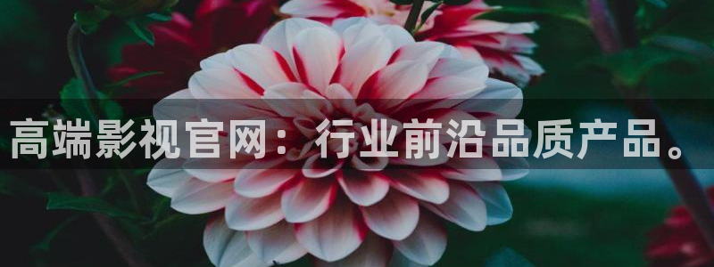 战地影院网：高端影视官网：行业前沿品质产品。