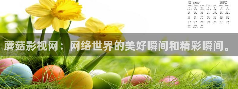 战地影院1080p高清：蘑菇影视网：网络世界的美好瞬间和精彩瞬间。