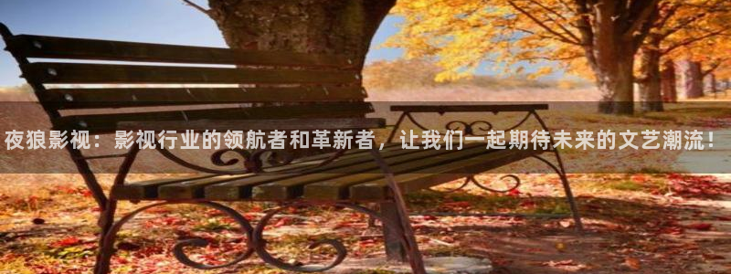 战地影院里的韩国电影有哪些：夜狼影视：影视行业的领航者和革新者，让我们一起期待未来的文艺潮流！