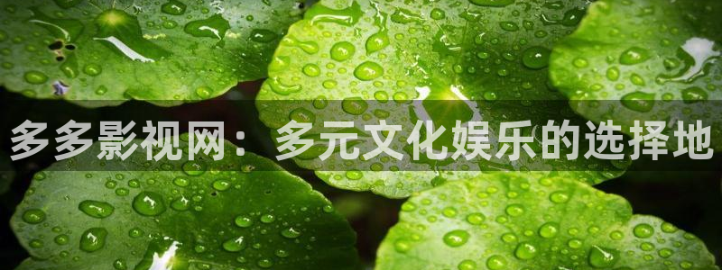 战地影院观看：多多影视网：多元文化娱乐的选择地