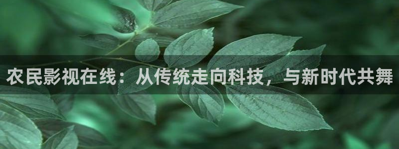 新战地影院：农民影视在线：从传统走向科技，与新时代共舞