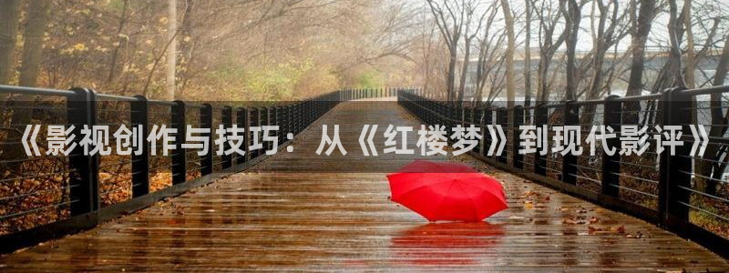 岛国在线:战地影院：《影视创作与技巧：从《红楼梦》到现代影评》
